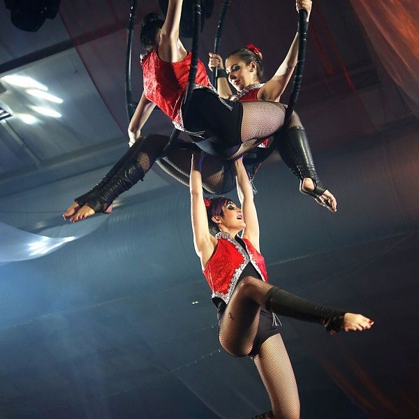 Арена в Большом Московском цирке